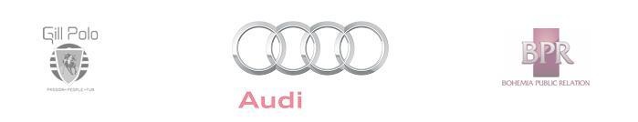 audi_699