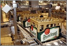 pivo_222