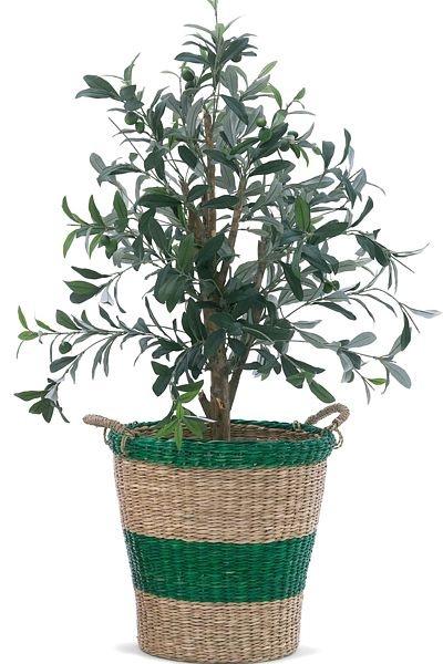 ptouti2_600
