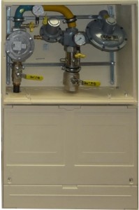 asex1-199x300_300
