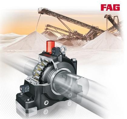 fag_419