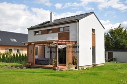 kubis_250
