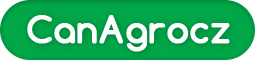 logo_255